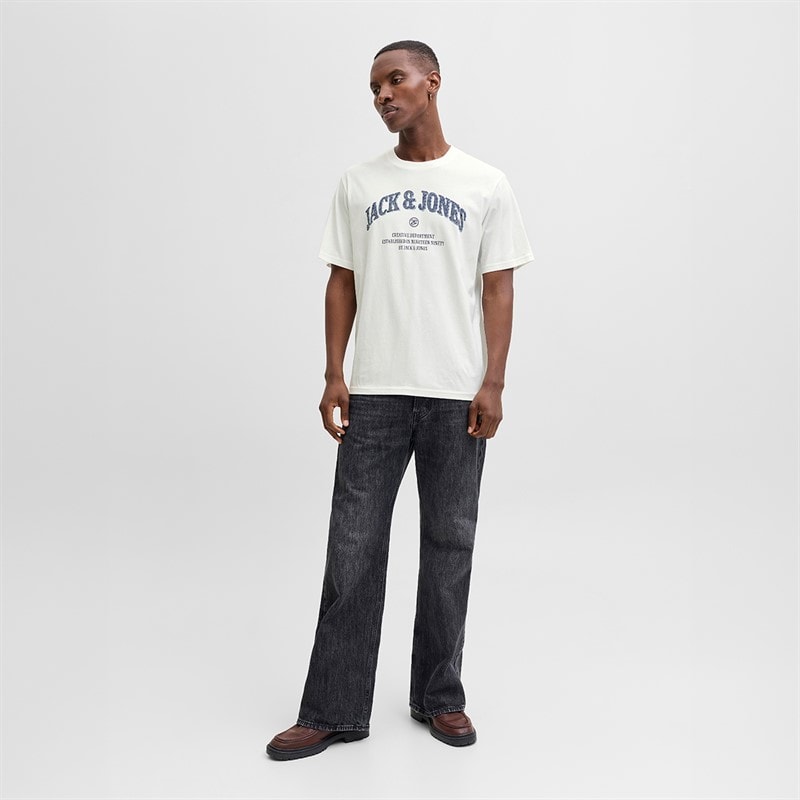 Herre denver grafisk t-shirt Cloud Dancer - Billede 3