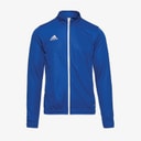 adidas Drenge Entrada 22 Sportjakker Kongeblå