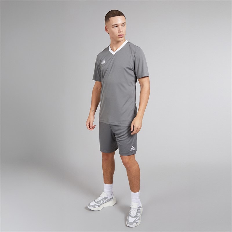 adidas Herre Entrada 22 Shorts Team Grey Four - Billede 4