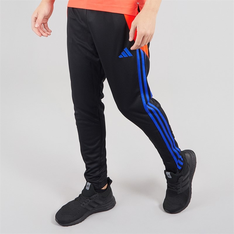 adidas Herre Tiro 24 træningsbukser Sort/Solar Red/Lucid Blue