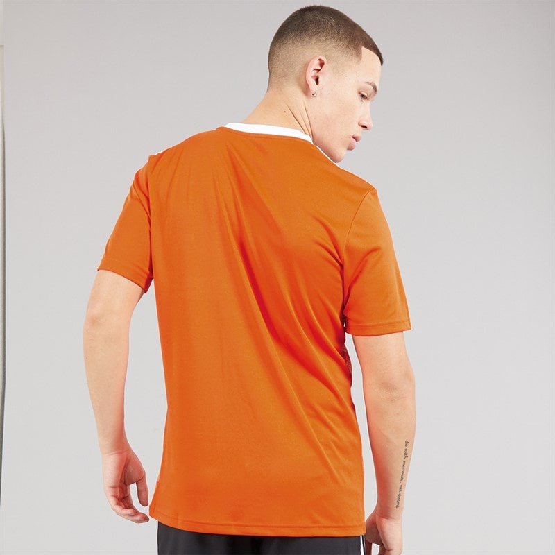 adidas Herre Team Ikon 23 T-shirt Team Orange - Billede 2