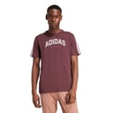 adidas Herre Codes College Lineært Grafik T-shirt Aurora Ruby