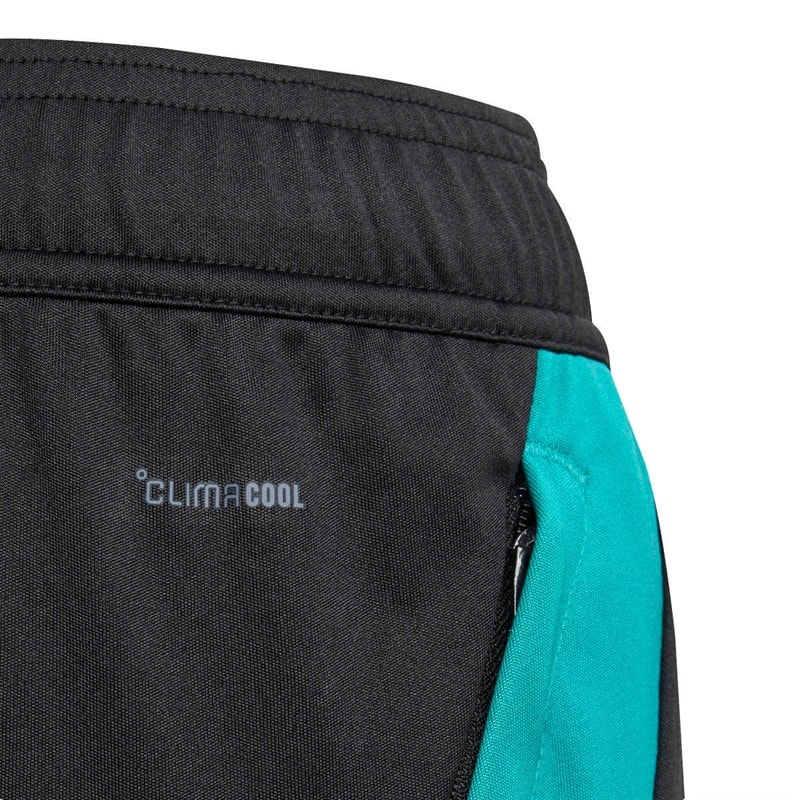 adidas Junior NZR New Zealand All Blacks Træningsshorts All Black/Pure Teal - Billede 4