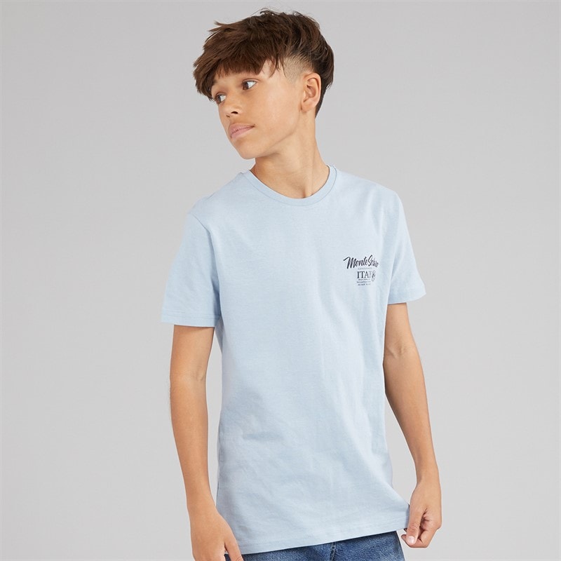 Brave Soul Drenge Solaro T-shirt Light Blue/Multi-Colour - Billede 2