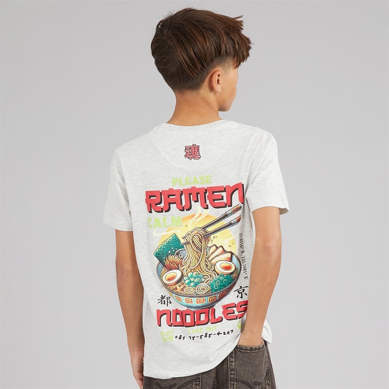 Brave Soul Drenge Scran T Shirt Ecru Marl/Multi Farve