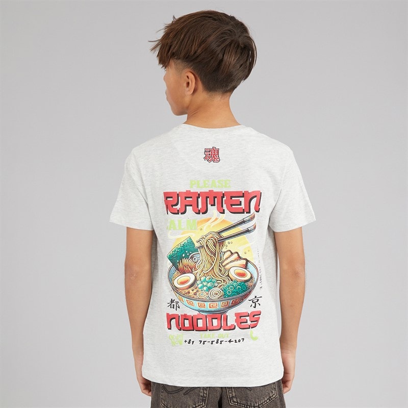 Brave Soul Drenge Scran T Shirt Ecru Marl/Multi Farve - Billede 3
