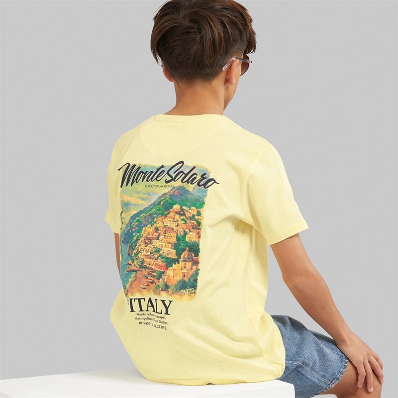 Brave Soul Drenge Solaro T Shirt Citron/Multi Farve Print - Billede 1