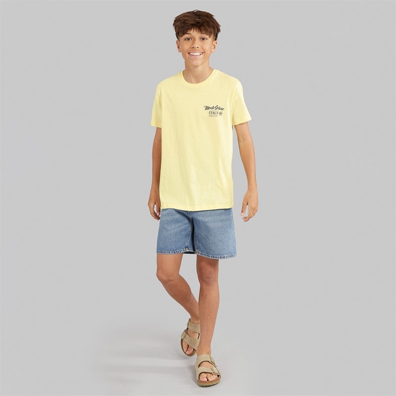 Brave Soul Drenge Solaro T Shirt Citron/Multi Farve Print - Billede 4