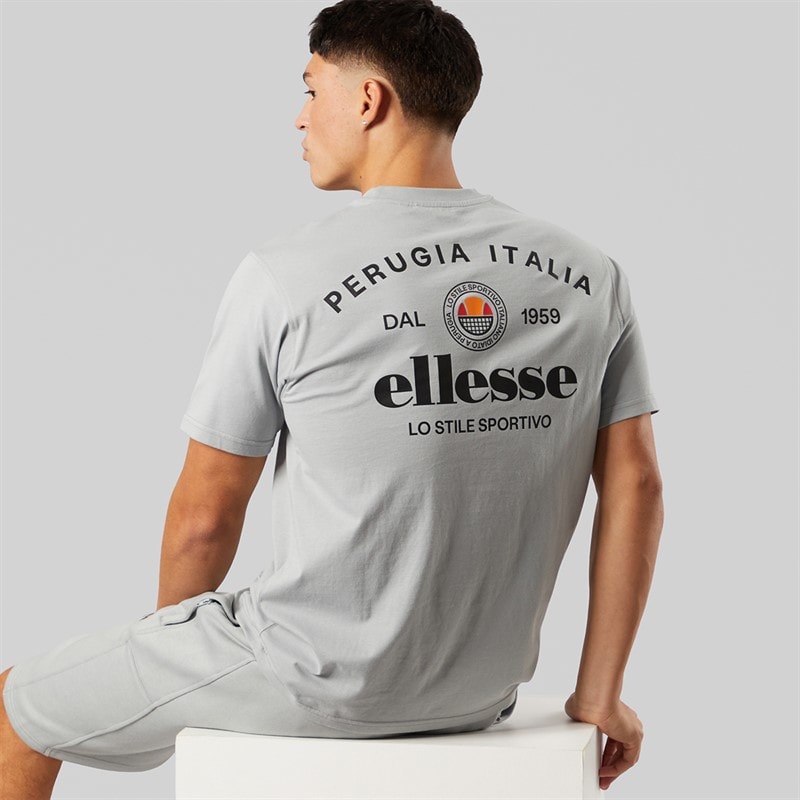 Ellesse Herre Lyon afslappet pasform ryg logo t-shirt Grå - Billede 1