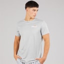 Ellesse Herre Elpidio 2 Løbe T-shirt Grå