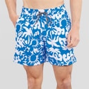 Hurley Herre Solrige Strand Volley Svømme Shorts Blå