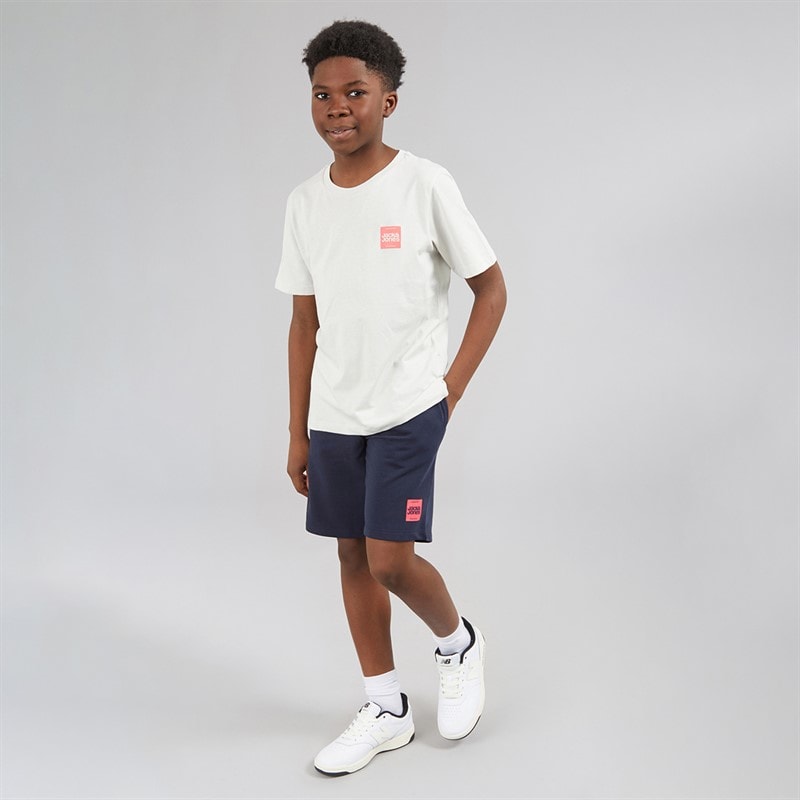 JACK & JONES Drenge Brandy T shirt og shorts sæt Glacier Gray - Billede 4