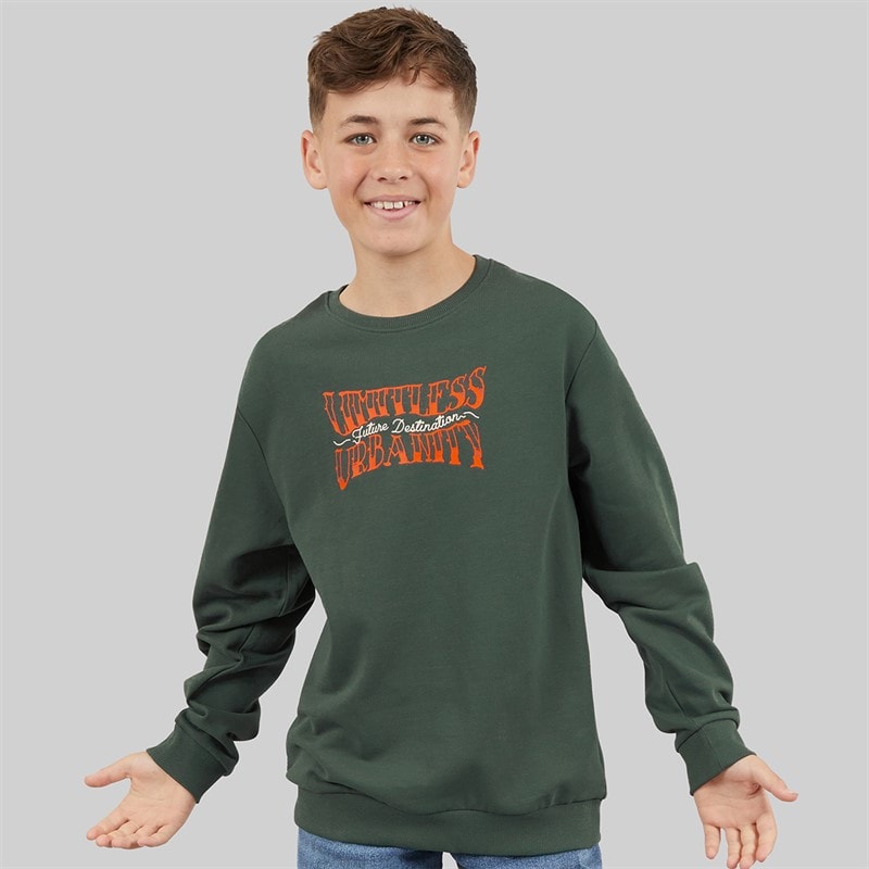 Name It Drenge Byron Sweatshirt Urban Chic