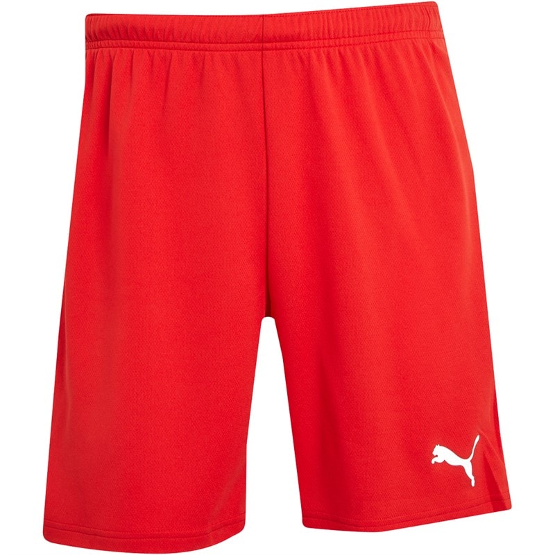 Puma Herre teamRISE Sport træningsshorts Rød - Billede 3
