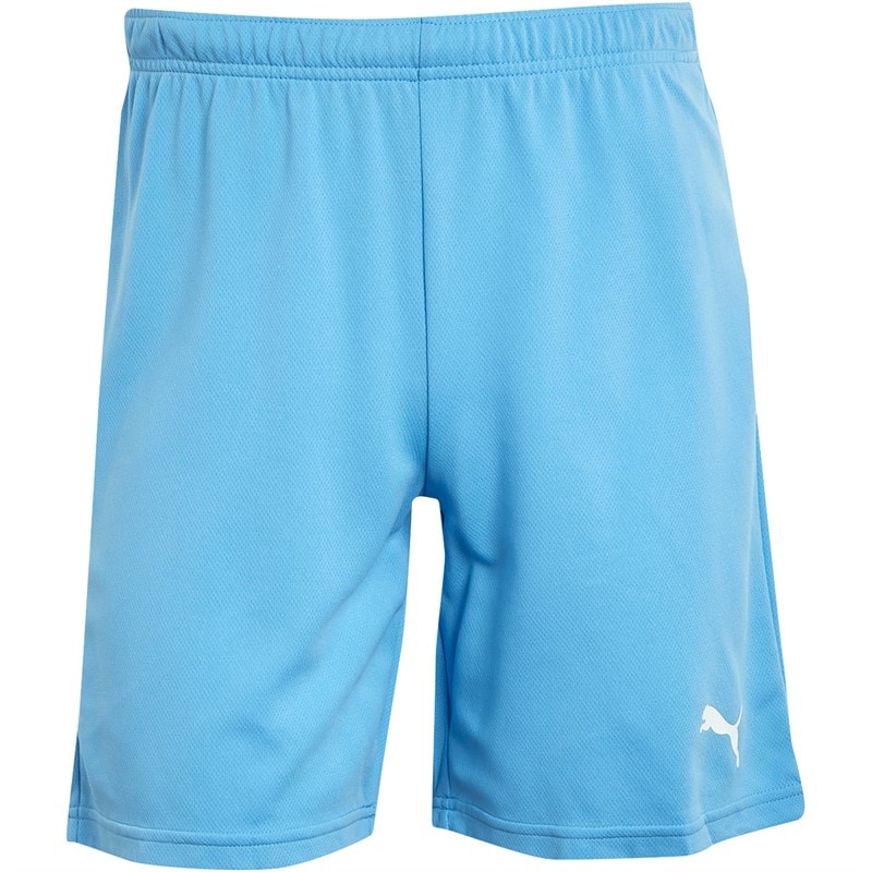 Puma Herre teamRISE Sport træningsshorts Blå - Billede 3