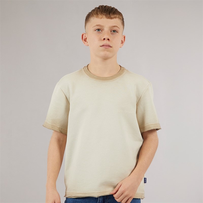 ONLY & SONS Drenge Tilmo Liv T-shirt Chinchilla - Billede 1