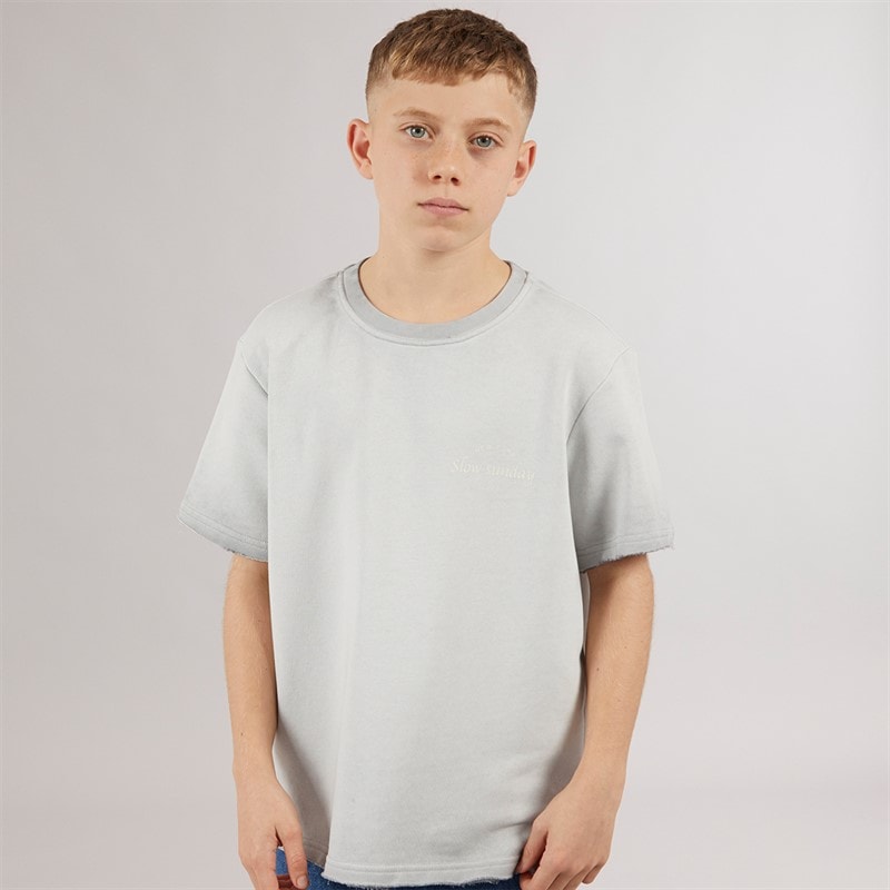 ONLY & SONS Drenge Tilmo Liv T-shirt Ultimate Grey - Billede 1