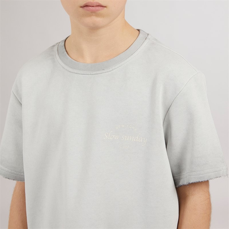 ONLY & SONS Drenge Tilmo Liv T-shirt Ultimate Grey - Billede 3