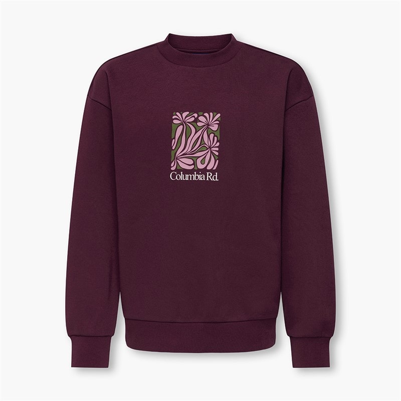 ONLY & SONS Drenge Beaufort Sweatshirt Fig