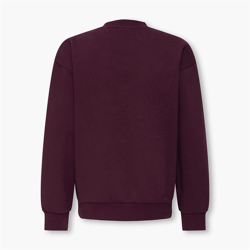 ONLY & SONS Drenge Beaufort Sweatshirt Fig - Billede 2