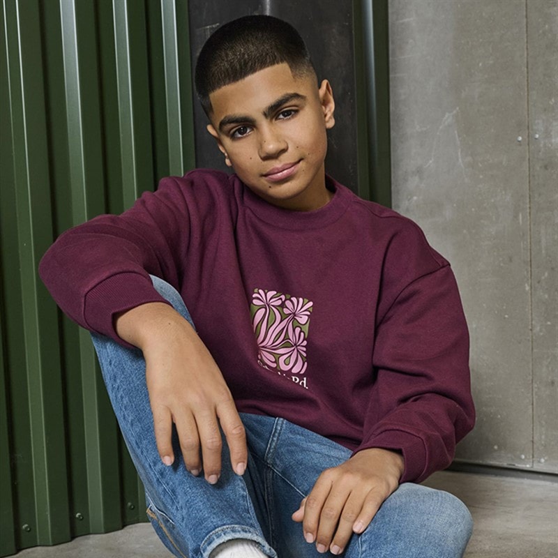 ONLY & SONS Drenge Beaufort Sweatshirt Fig - Billede 4