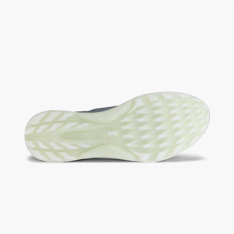 ECCO Dame Biom C4 Gore Tex Golf sko Sedum Green - Billede 4
