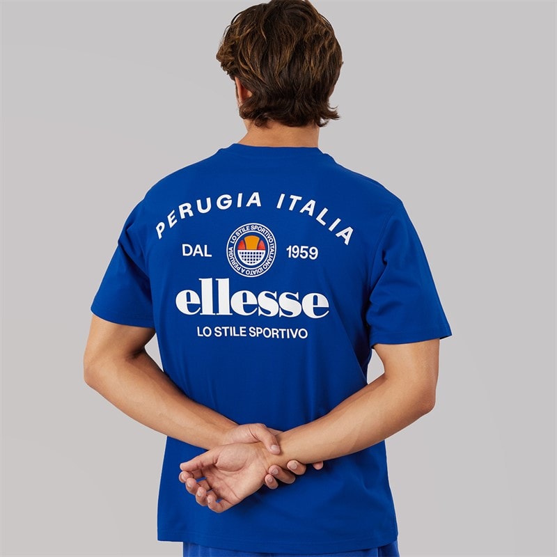 Ellesse Herre lyon afslappet pasform t-shirt med ryglogo - Cobalt
