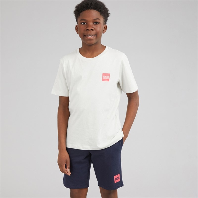 JACK & JONES Drenge Brandy T shirt og shorts sæt Glacier Gray