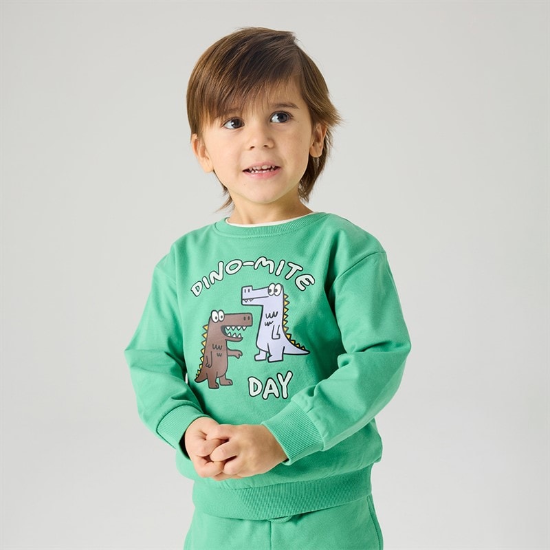Name It Drenge Mini Dakkian Sweatshirt Green Spruce
