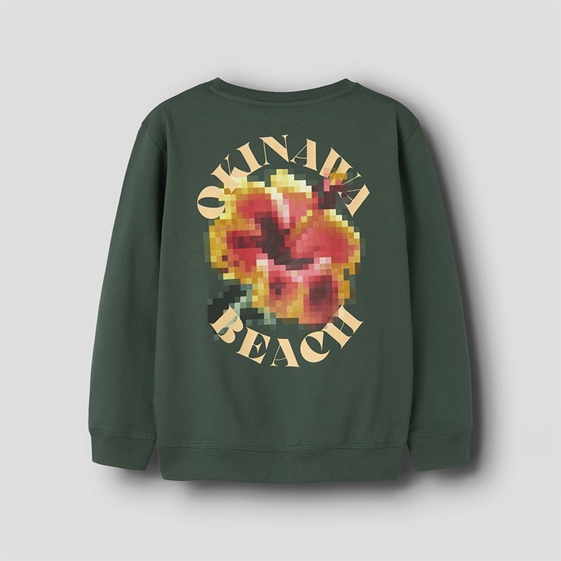Name It Drenge Juan Sweatshirt Haveskulptur