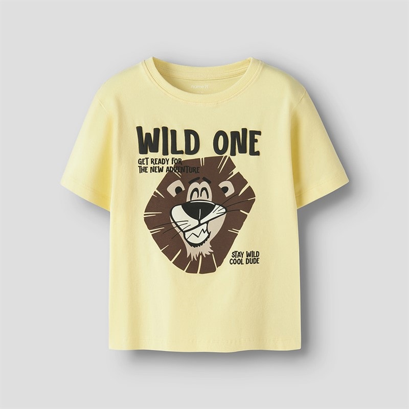 Name It Drenge Harly T Shirt Dobbelte fløde