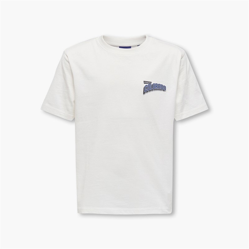 ONLY & SONS Drenge Fred States T Shirt Cloud Dancer